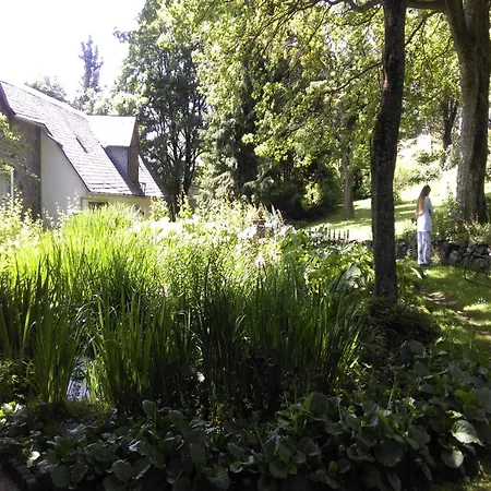 Vibrant In With Private Terrace Willingen (Upland)