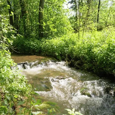 Vibrant In With Private Terrace * Willingen (Upland)