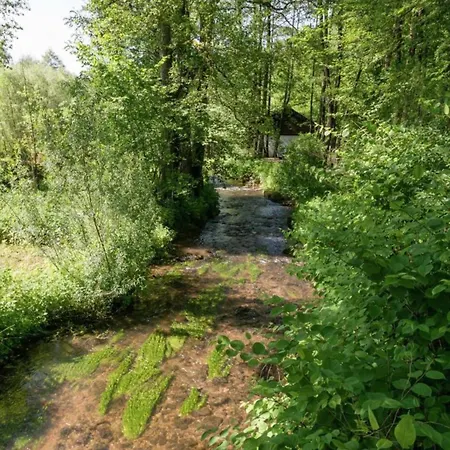 Apartment Vibrant In With Private Terrace Willingen (Upland)