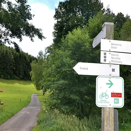 Vibrant In With Private Terrace Willingen (Upland)