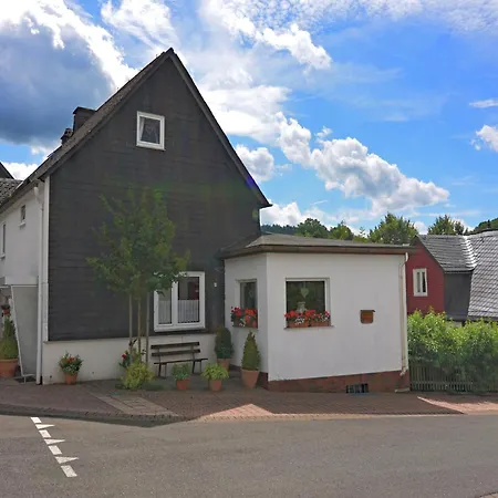 Vibrant In With Private Terrace Willingen (Upland)
