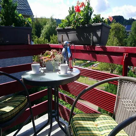 Vibrant In With Private Terrace Willingen (Upland)