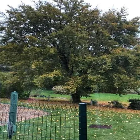 Vibrant In With Private Terrace * Willingen (Upland)