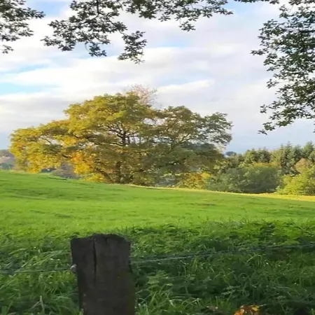 דירה Vibrant In With Private Terrace