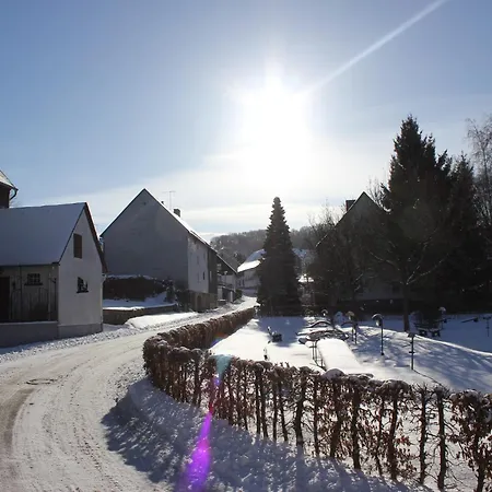 Lejlighed Vibrant In With Private Terrace Willingen (Upland)