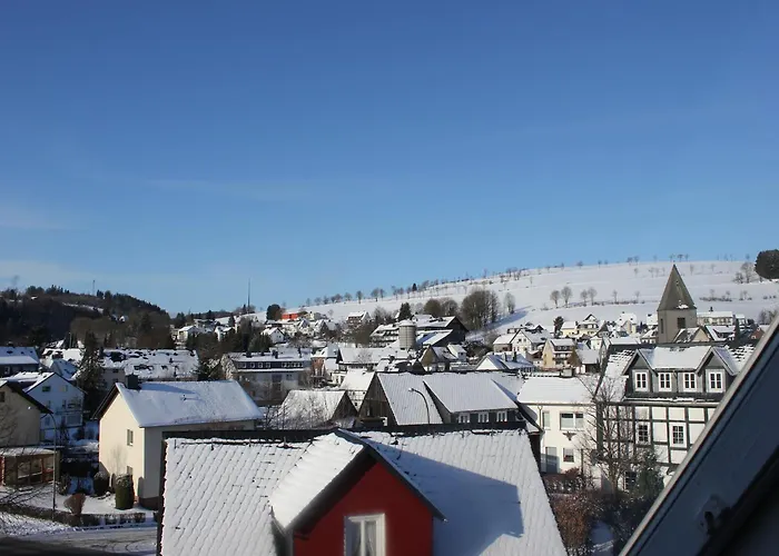 Vibrant In With Private Terrace Apartamento Willingen (Upland)