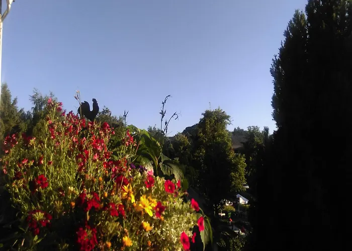 Vibrant In With Private Terrace Apartamento Willingen (Upland)