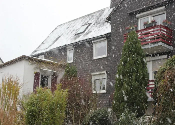Vibrant In With Private Terrace Apartament Willingen (Upland)