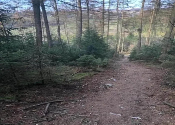 Vibrant In With Private Terrace Willingen (Upland)