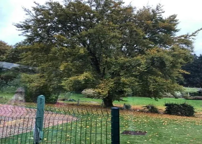 Vibrant In With Private Terrace * Willingen (Upland)