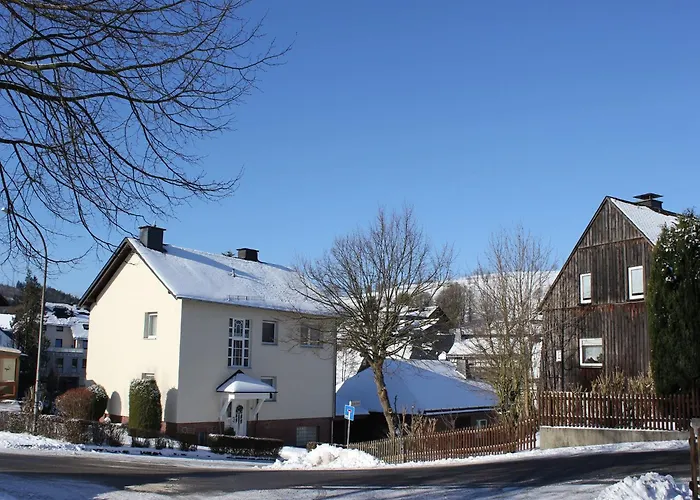 Vibrant In With Private Terrace Apartamento Willingen (Upland)