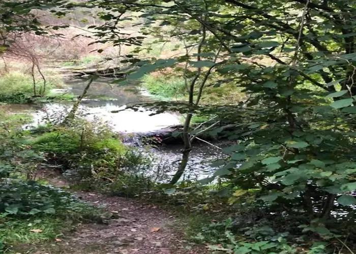 Vibrant In With Private Terrace Apartamento Willingen (Upland)