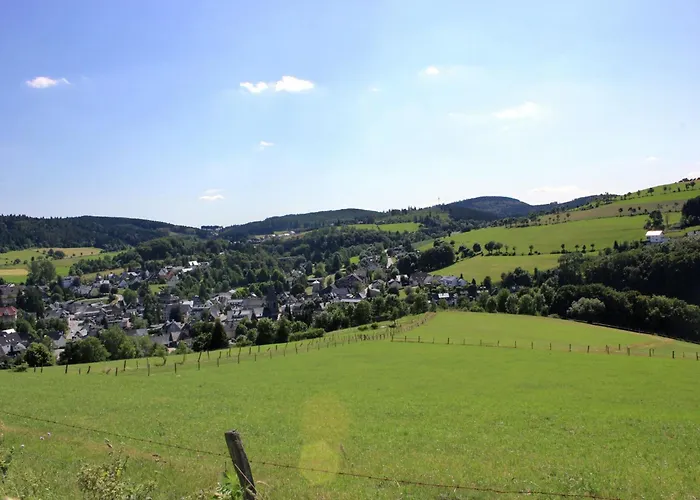 Vibrant In With Private Terrace Willingen (Upland)